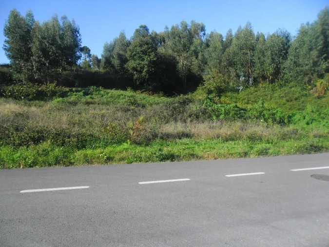 Terreno para Venda em Figueiró (Santiago e Santa Cristina) Foto 6