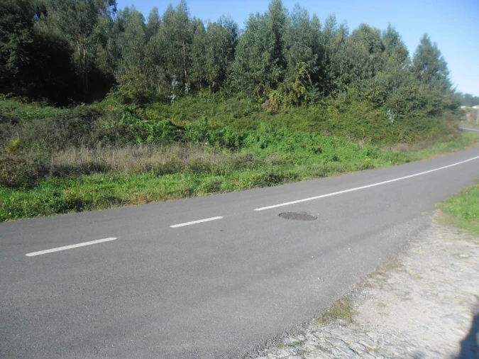 Terreno para Venda em Figueiró (Santiago e Santa Cristina) Foto 3
