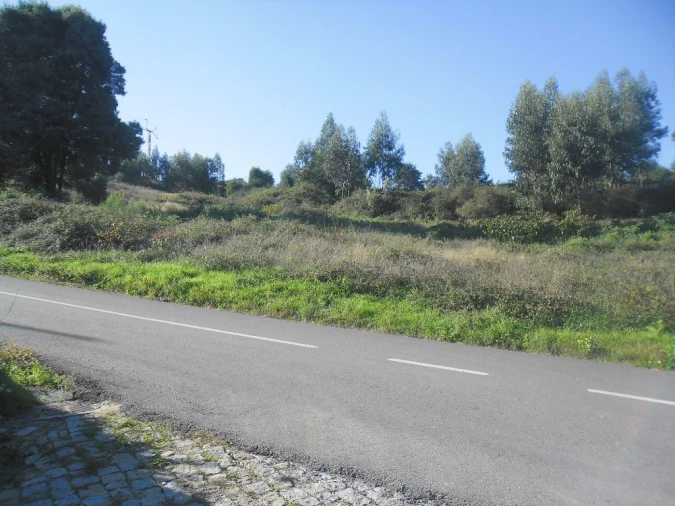 Terreno para Venda em Figueiró (Santiago e Santa Cristina) Foto 9