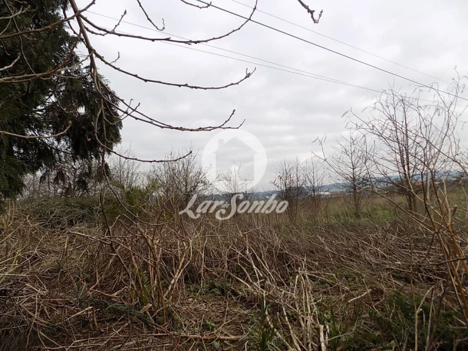 Terreno para Venda em Balazar Foto 2