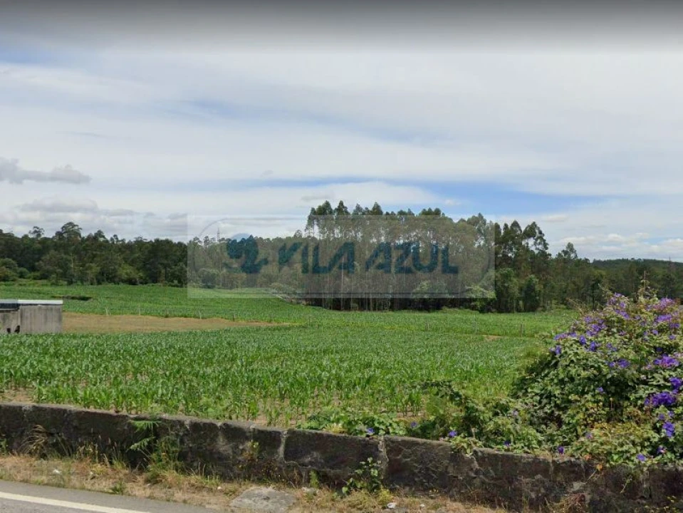 Terreno P/ Prédio para Venda em Castêlo da Maia Foto 6