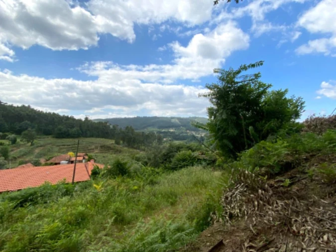 Terreno para Venda em Telões Foto 3