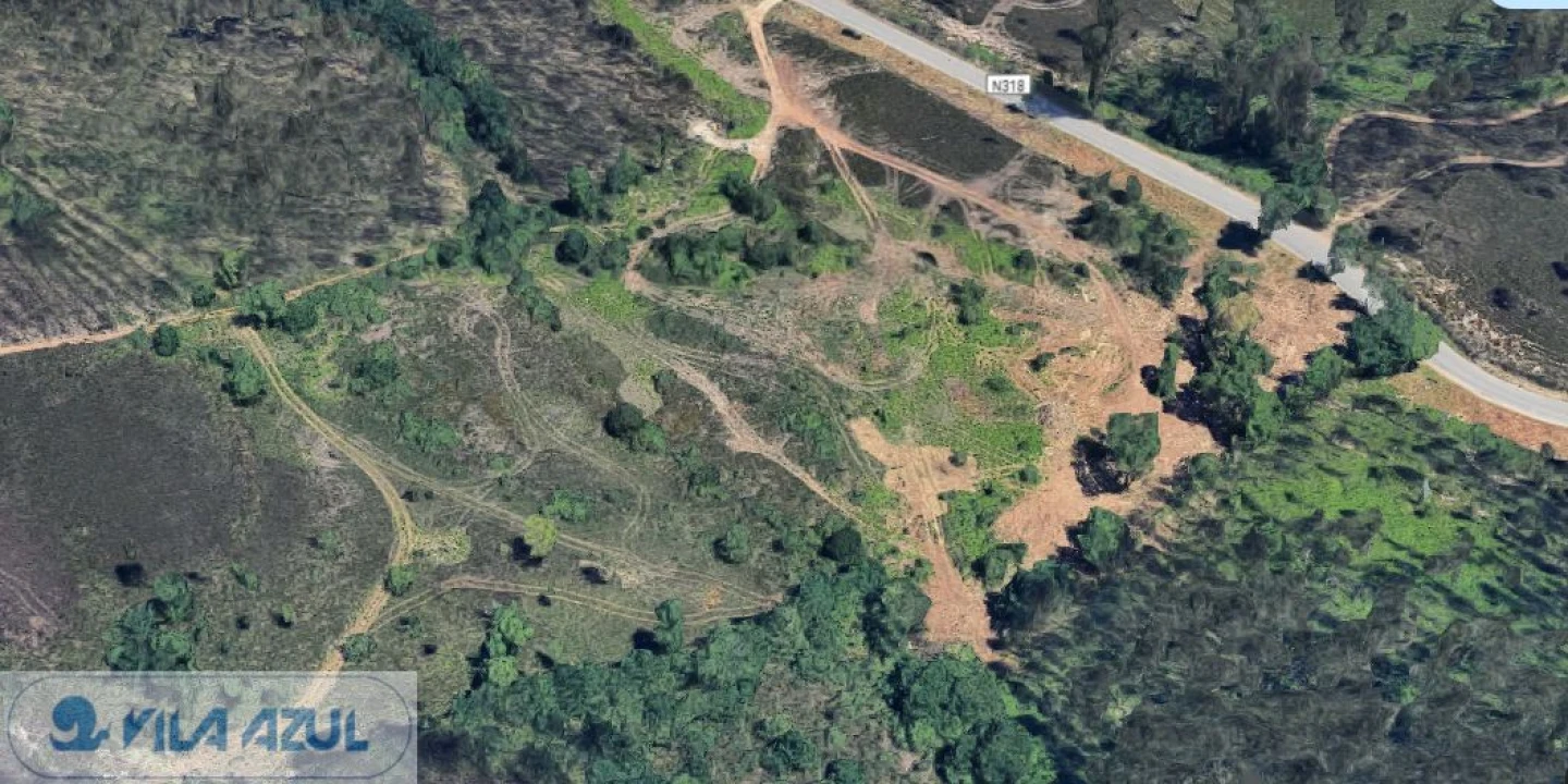 Terreno Agricola ou Rústico para Venda em Folgosa Foto 4