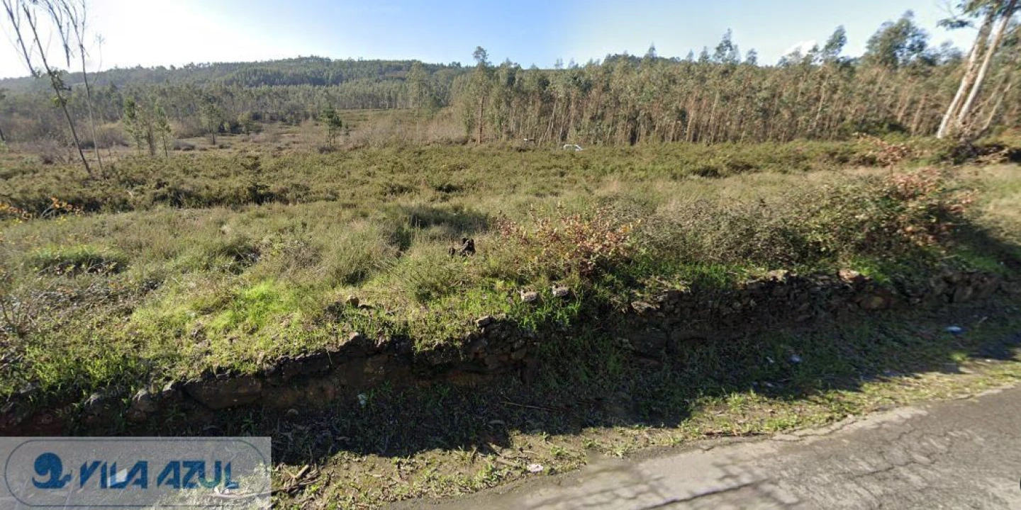 Terreno Agricola ou Rústico para Venda em Folgosa Foto 7
