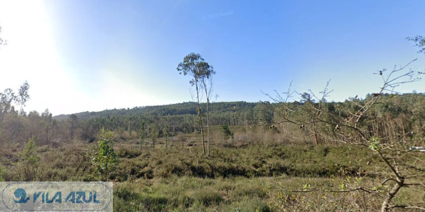 Terreno Agricola ou Rústico para Venda em Folgosa Foto 9
