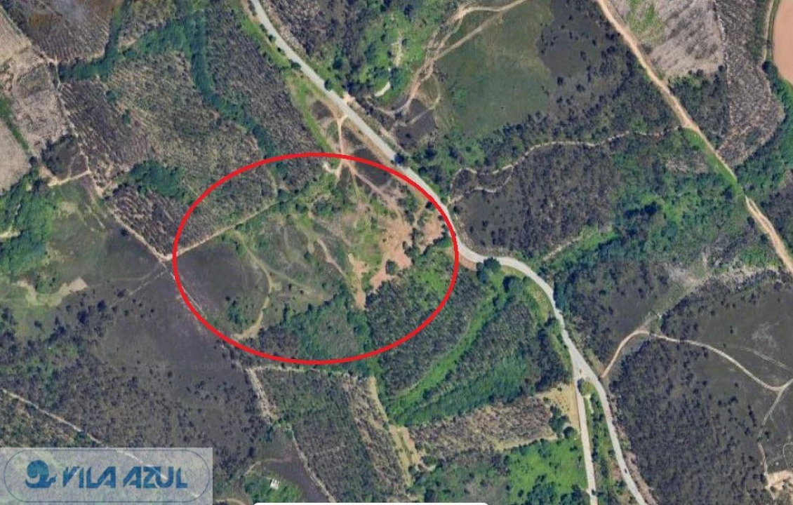 Terreno Agricola ou Rústico para Venda em Folgosa Foto 2