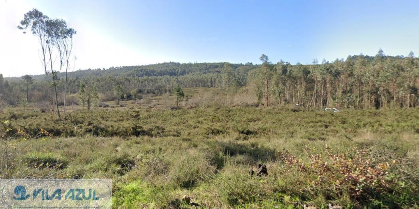 Terreno Agricola ou Rústico para Venda em Folgosa Foto 10