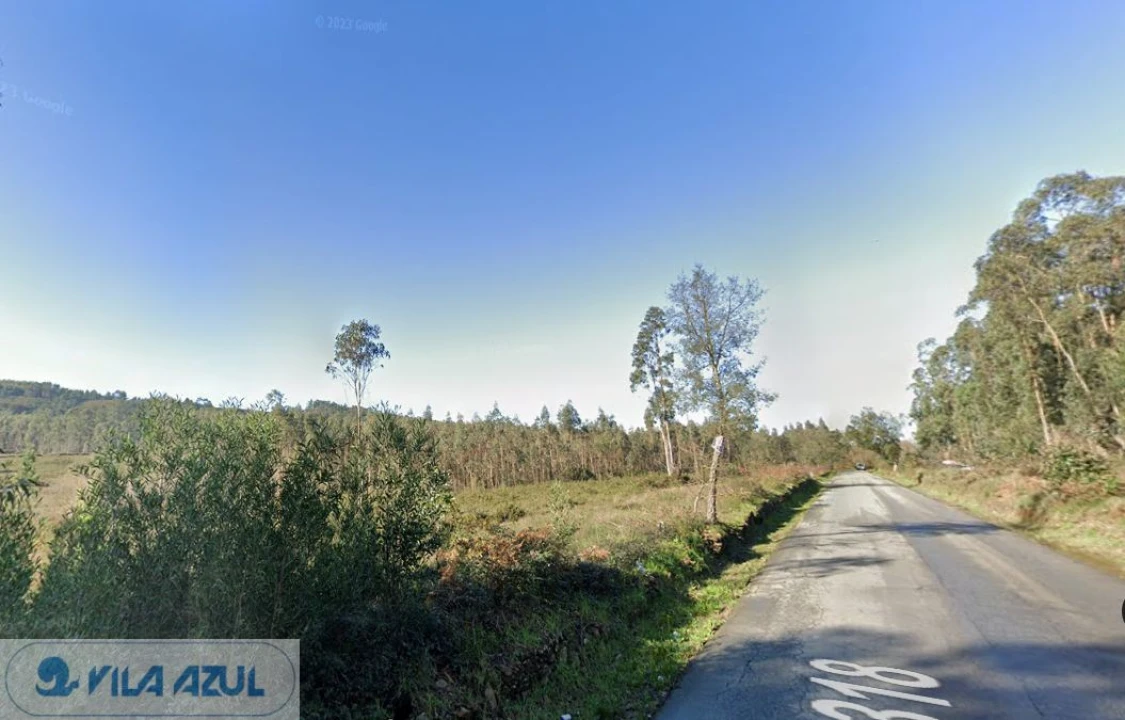 Terreno Agricola ou Rústico para Venda em Folgosa Foto 1