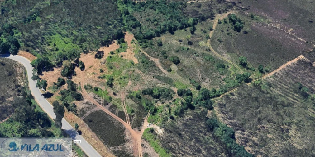 Terreno Agricola ou Rústico para Venda em Folgosa Foto 3