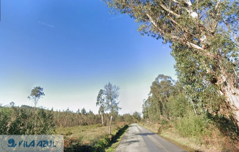 Terreno Agricola ou Rústico para Venda em Folgosa Foto 5