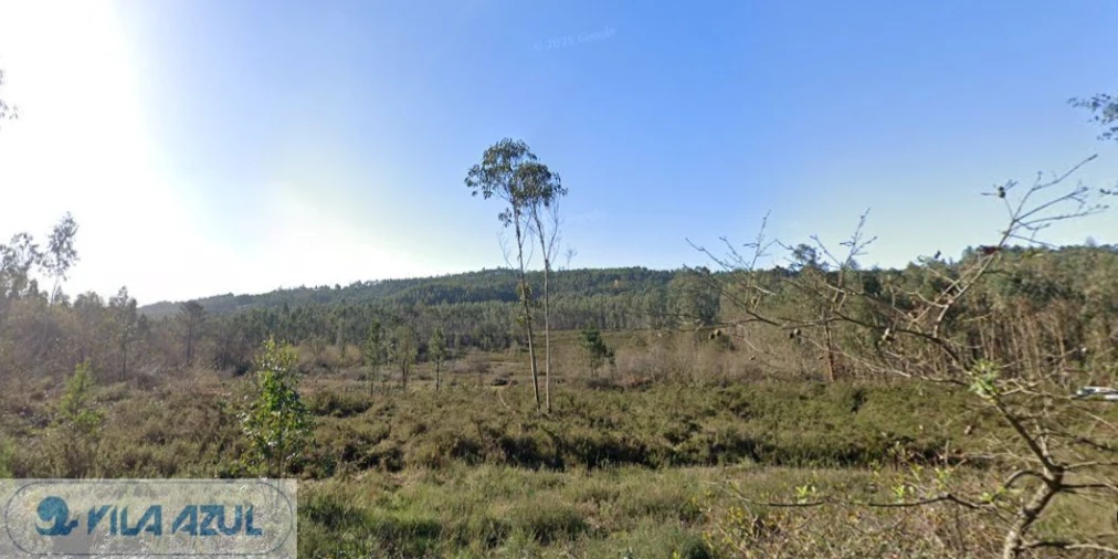 Terreno Agricola ou Rústico para Venda em Folgosa Foto 9