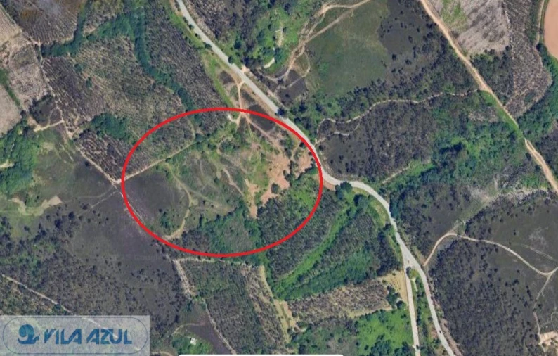 Terreno Agricola ou Rústico para Venda em Folgosa Foto 2