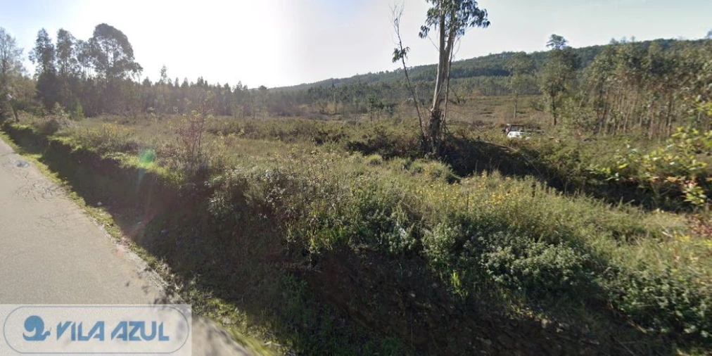 Terreno Agricola ou Rústico para Venda em Folgosa Foto 11