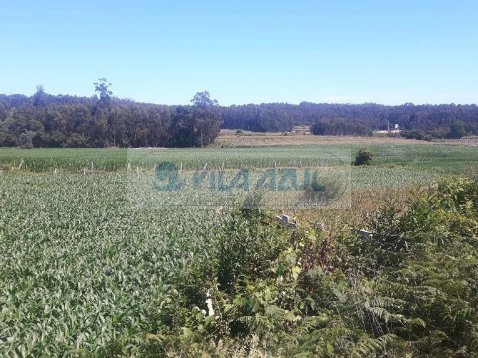 Terreno Agricola ou Rústico para Venda em Malta e Canidelo Foto 2