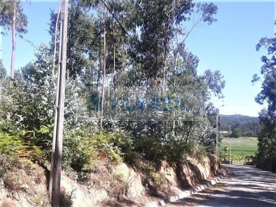 Terreno Agricola ou Rústico para Venda em Malta e Canidelo Foto 8