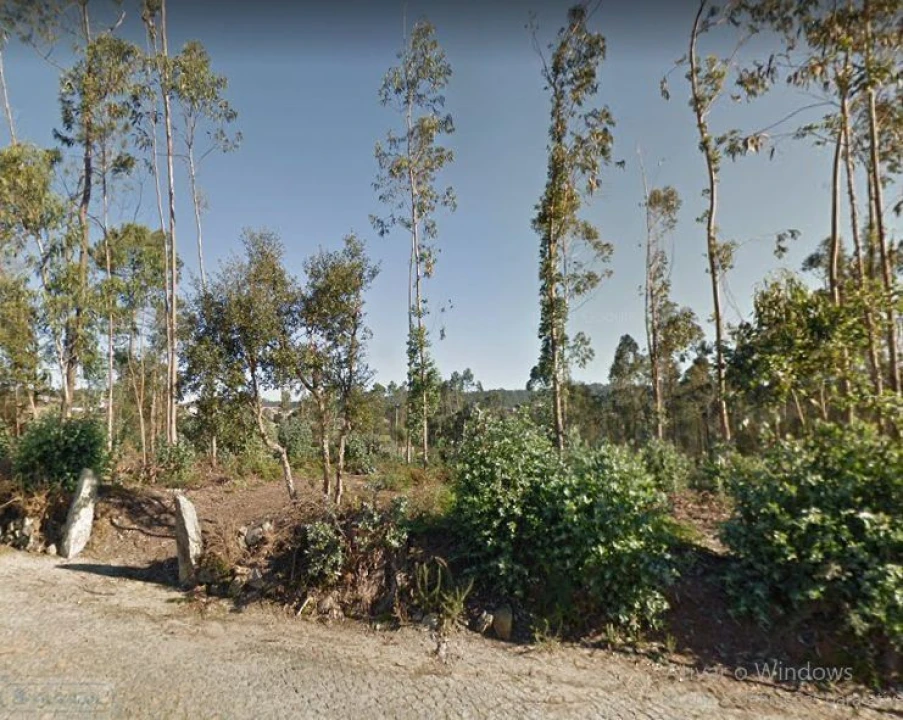 Terreno Agricola ou Rústico para Venda em Malta e Canidelo Foto 4