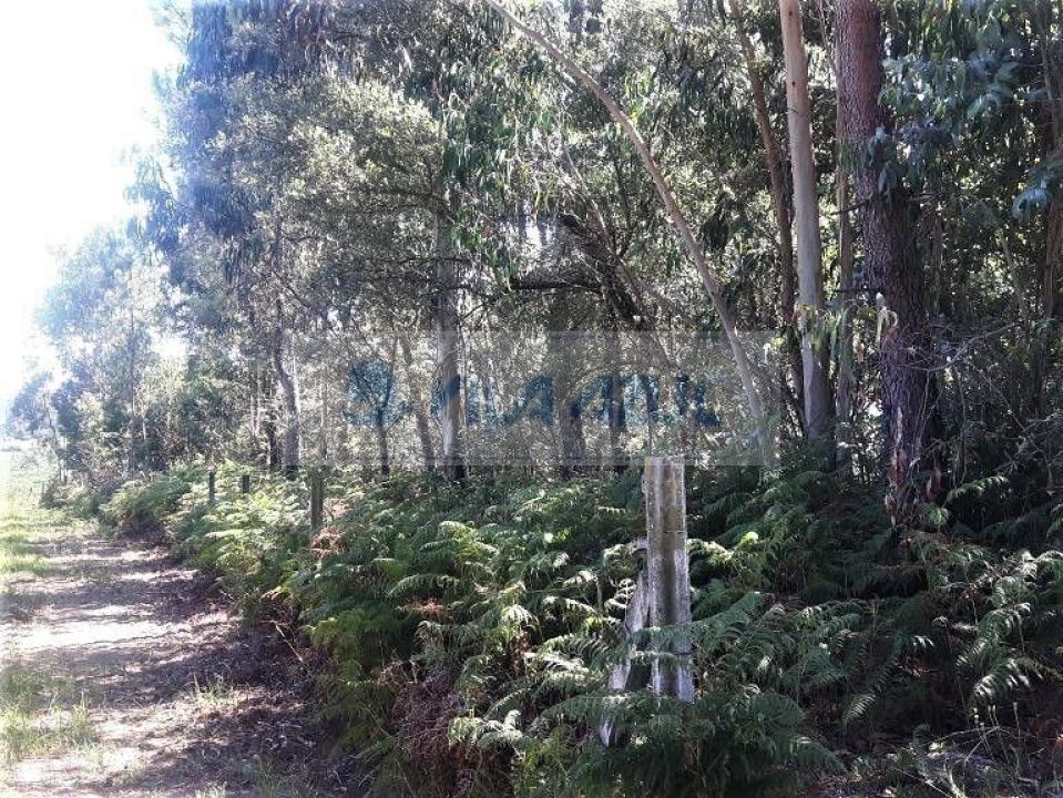 Terreno Agricola ou Rústico para Venda em Malta e Canidelo Foto 5