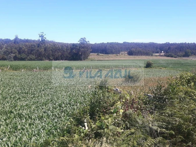 Terreno Agricola ou Rústico para Venda em Malta e Canidelo Foto 2
