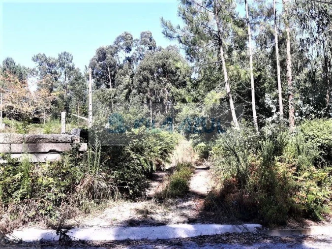 Terreno Agricola ou Rústico para Venda em Malta e Canidelo Foto 9