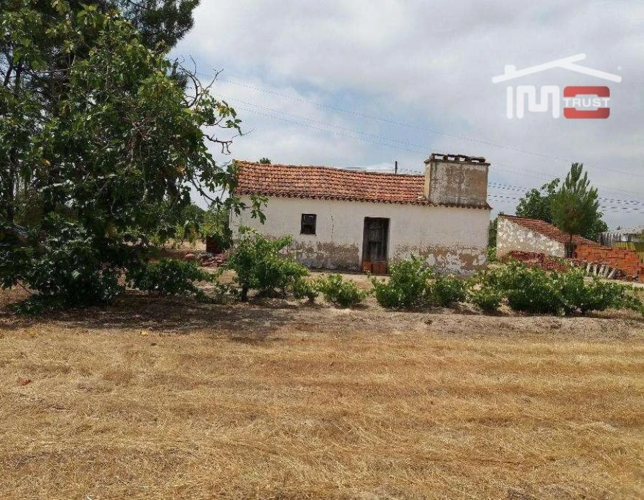 Terreno P/ Prédio para Venda em Biscainho Foto 1