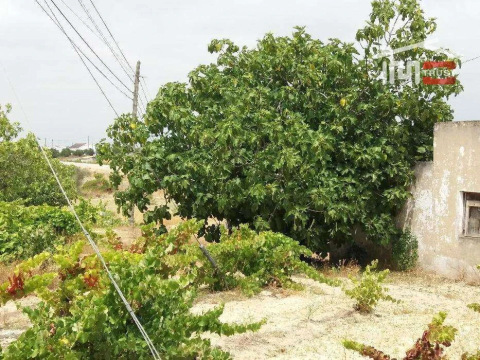 Terreno P/ Prédio para Venda em Biscainho Foto 8