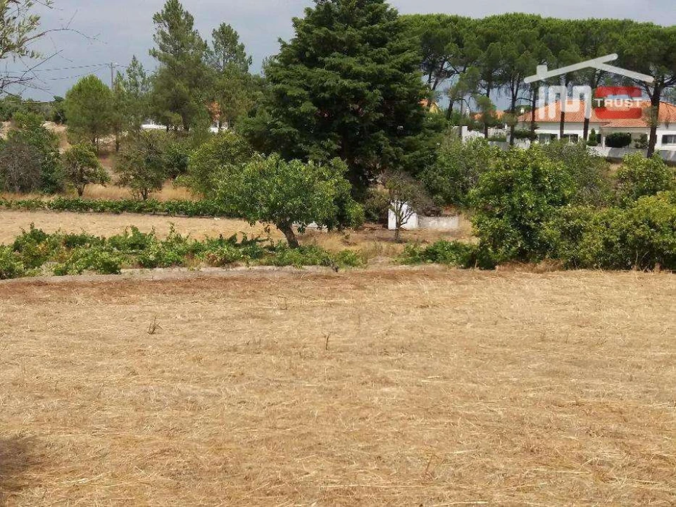 Terreno P/ Prédio para Venda em Biscainho Foto 6