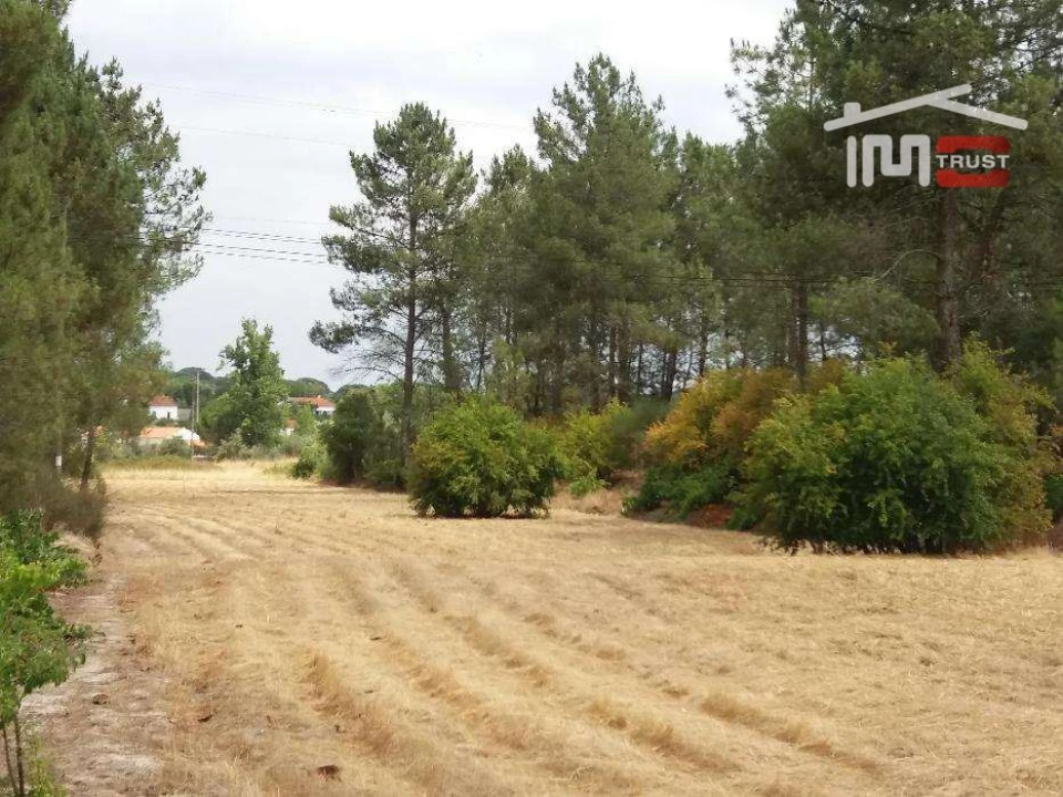 Terreno P/ Prédio para Venda em Biscainho Foto 3
