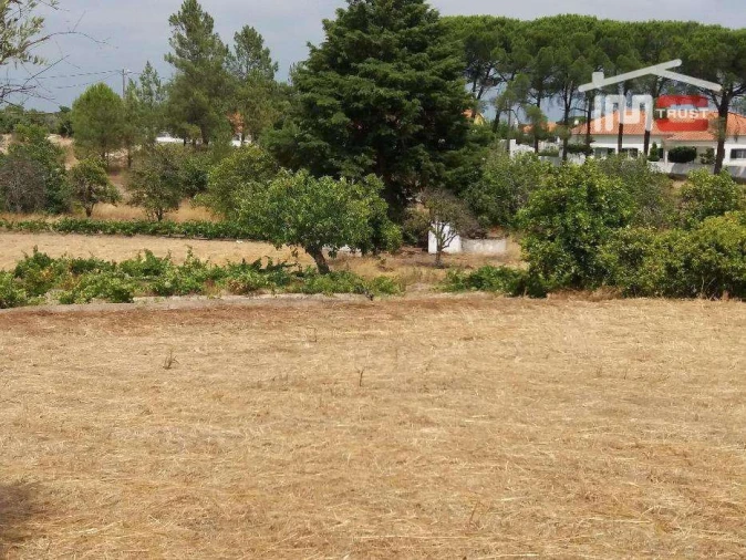 Terreno P/ Prédio para Venda em Biscainho Foto 6