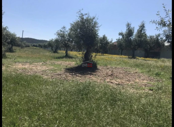 Terreno Misto para Venda em Alburitel Foto 2