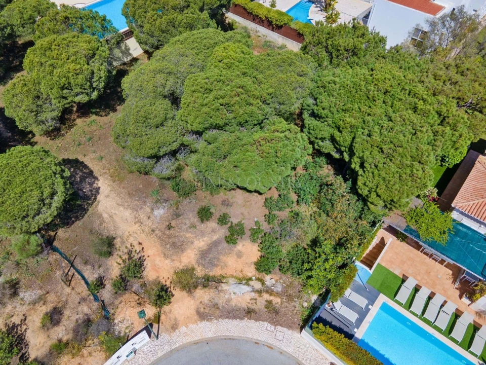 Terreno para Venda em Almancil Foto 6