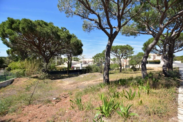 Terreno para Venda em Almancil Foto 3