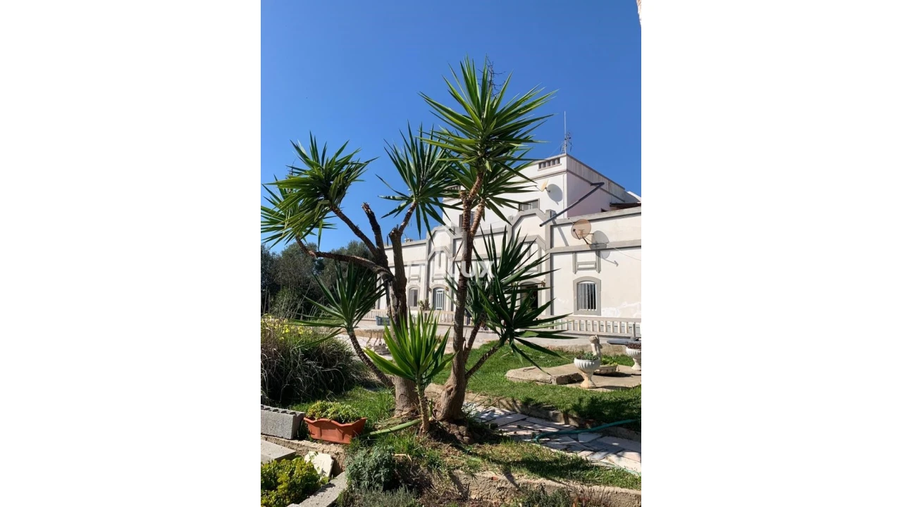 Moradia T7 para Venda em Olhão Foto 2