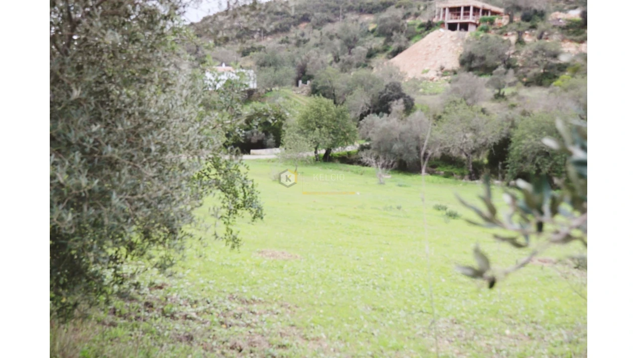 Terreno Agricola ou Rústico para Venda em Loule (São Sebastião) Foto 2