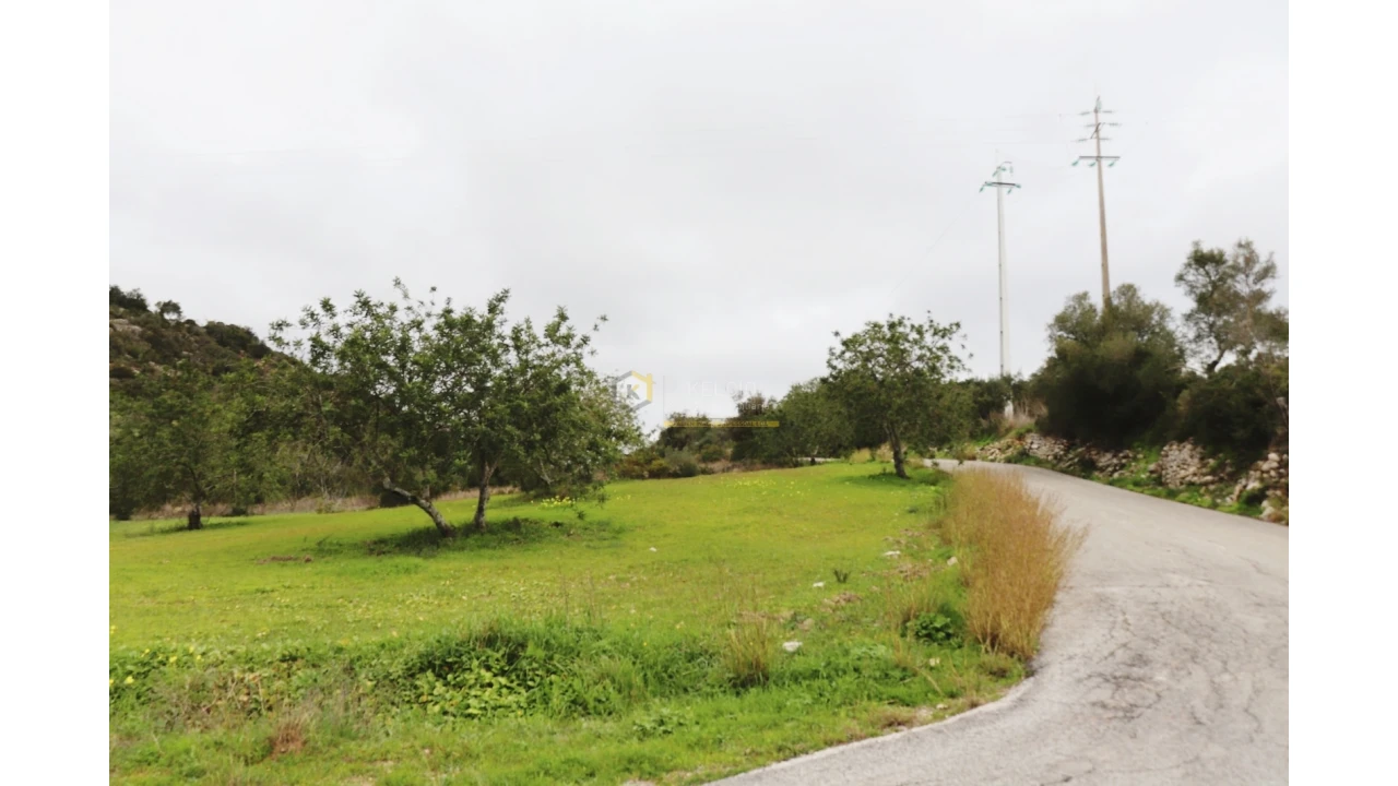 Terreno Agricola ou Rústico para Venda em Loule (São Sebastião) Foto 9