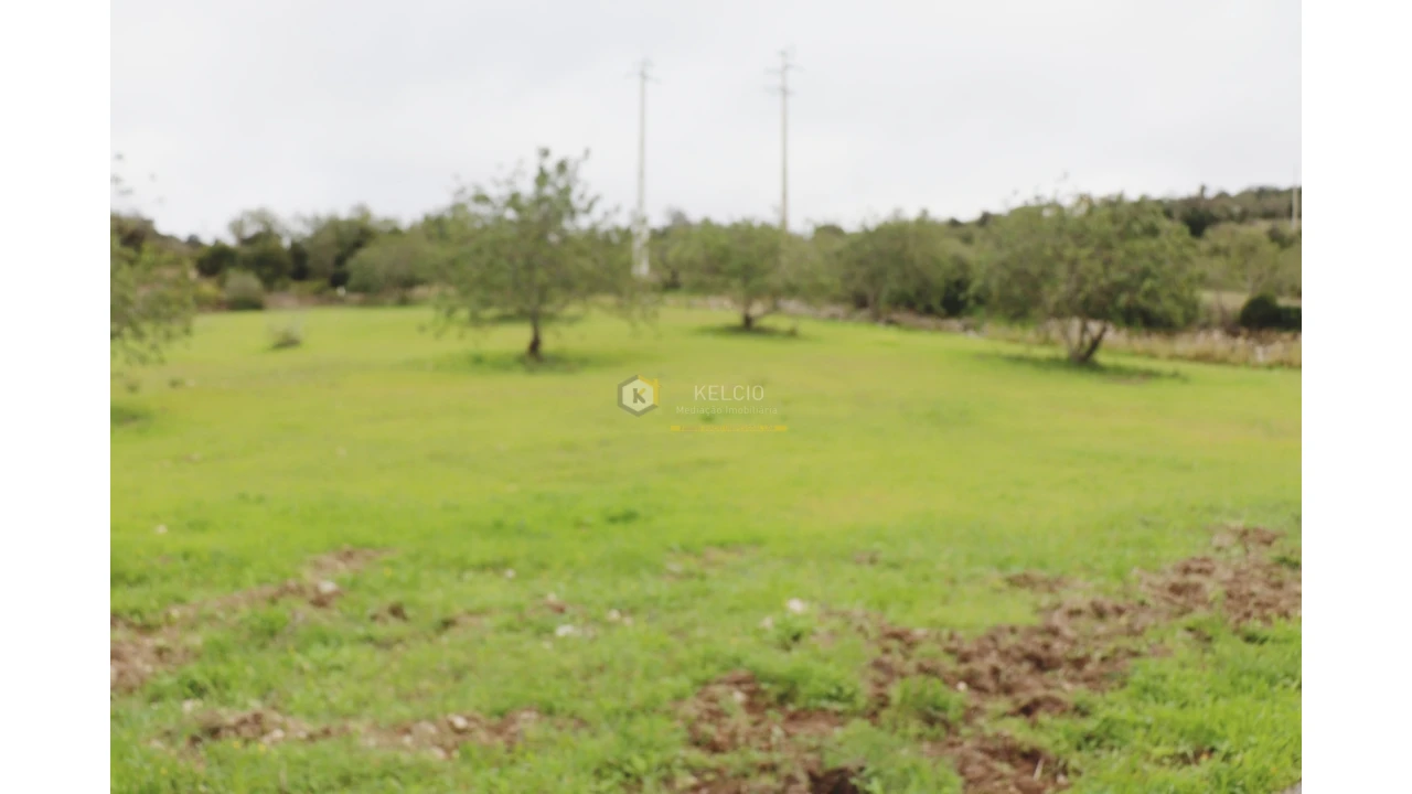 Terreno Agricola ou Rústico para Venda em Loule (São Sebastião) Foto 7