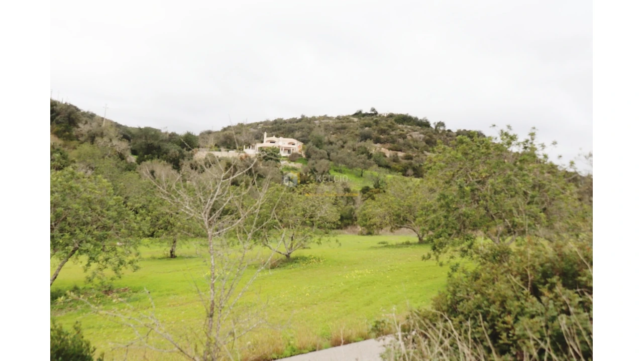Terreno Agricola ou Rústico para Venda em Loule (São Sebastião) Foto 10