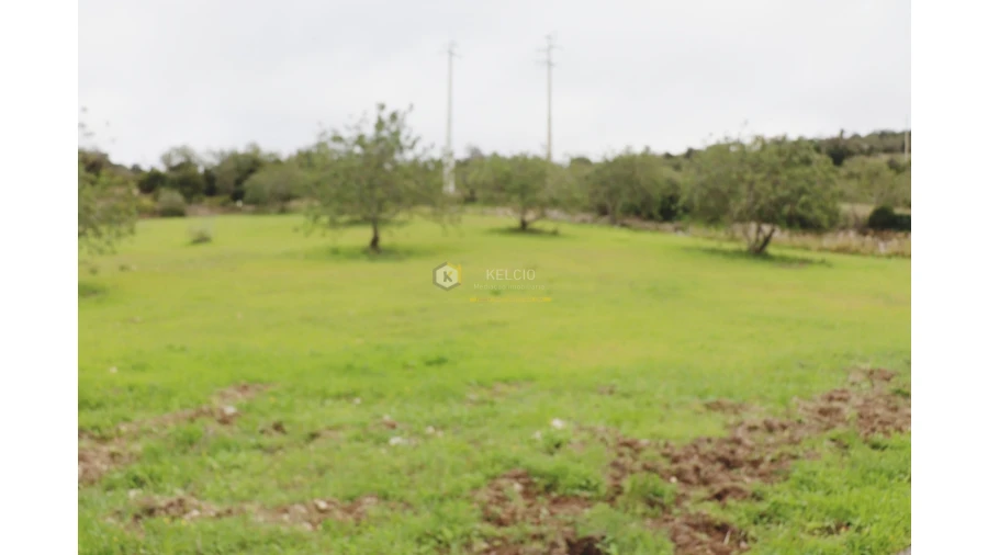 Terreno Agricola ou Rústico para Venda em Loule (São Sebastião) Foto 7