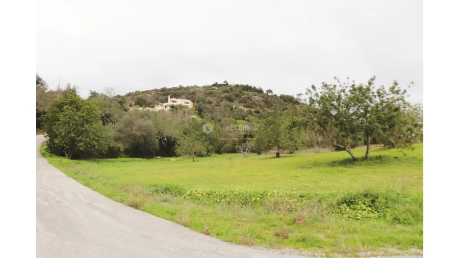 Terreno Agricola ou Rústico para Venda em Loule (São Sebastião) Foto 8
