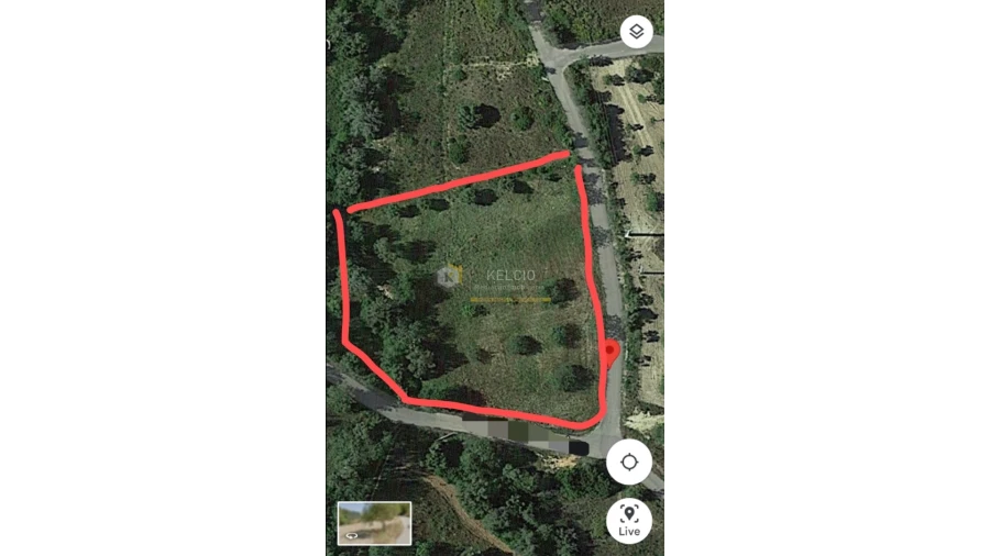 Terreno Agricola ou Rústico para Venda em Loule (São Sebastião) Foto 13