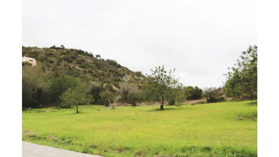 Terreno Agricola ou Rústico para Venda em Loule (São Sebastião) Foto 6