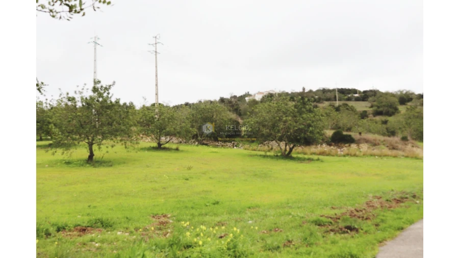Terreno Agricola ou Rústico para Venda em Loule (São Sebastião) Foto 4