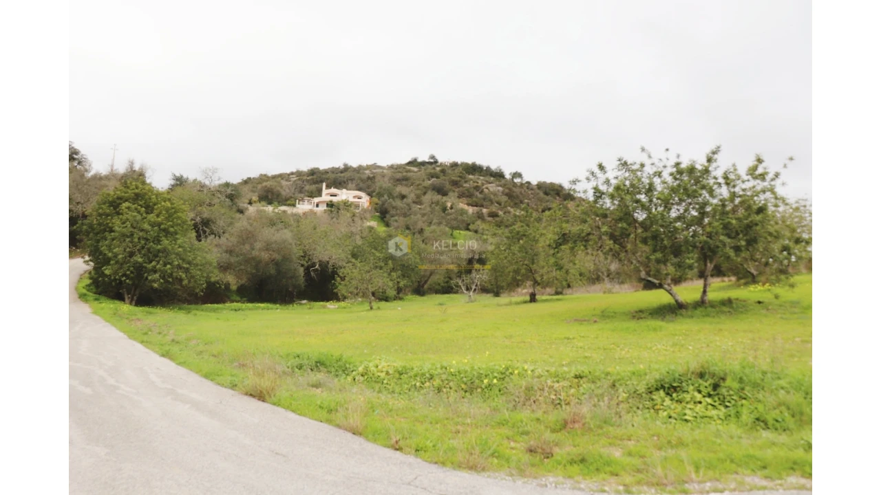 Terreno Agricola ou Rústico para Venda em Loule (São Sebastião) Foto 8