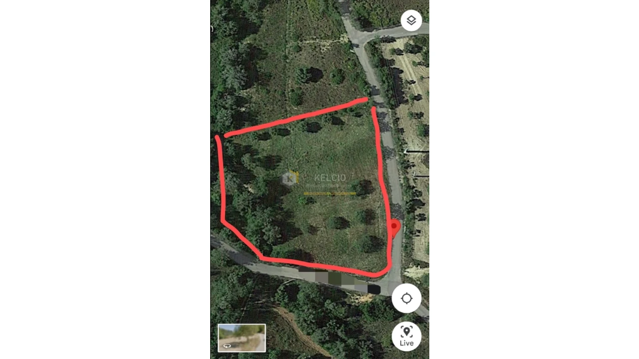 Terreno Agricola ou Rústico para Venda em Loule (São Sebastião) Foto 13