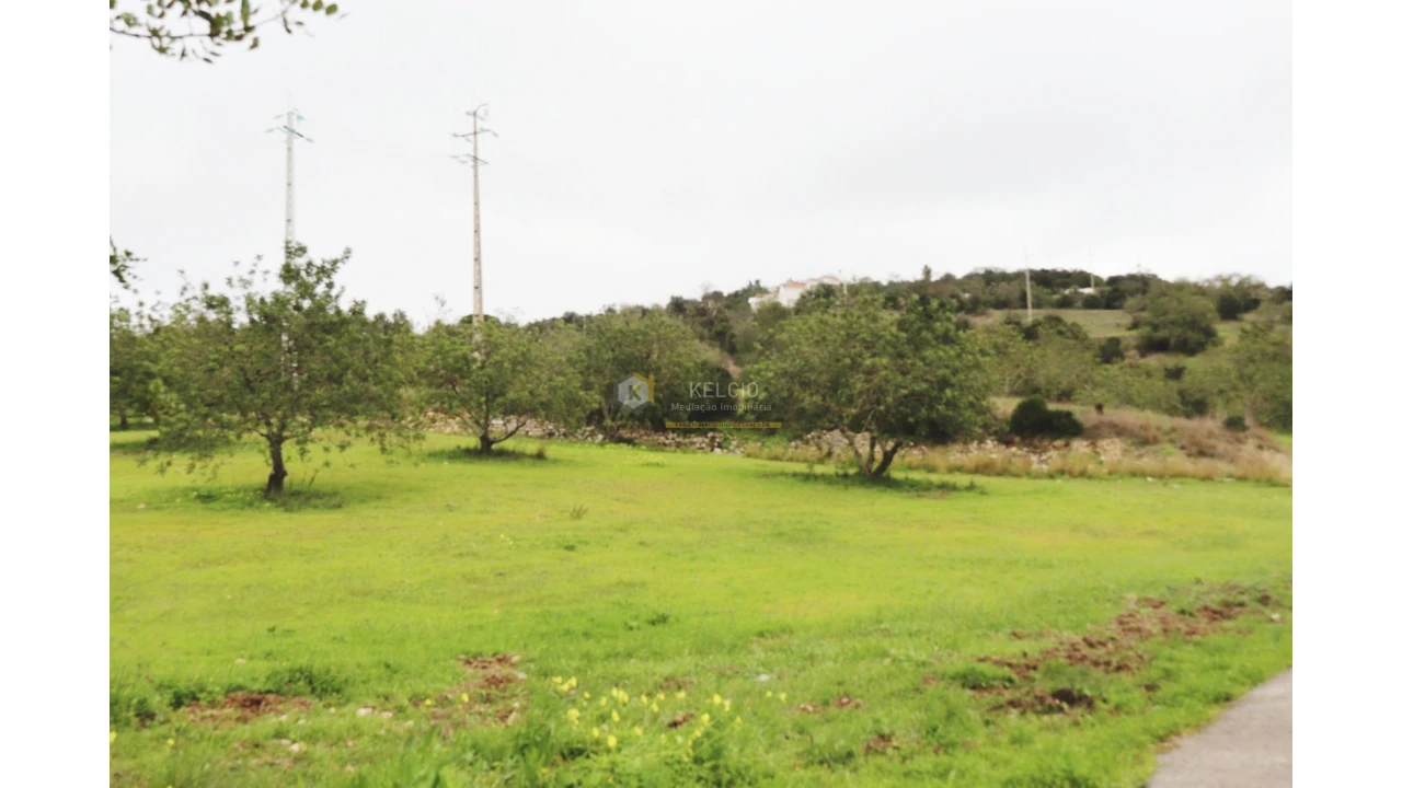 Terreno Agricola ou Rústico para Venda em Loule (São Sebastião) Foto 4