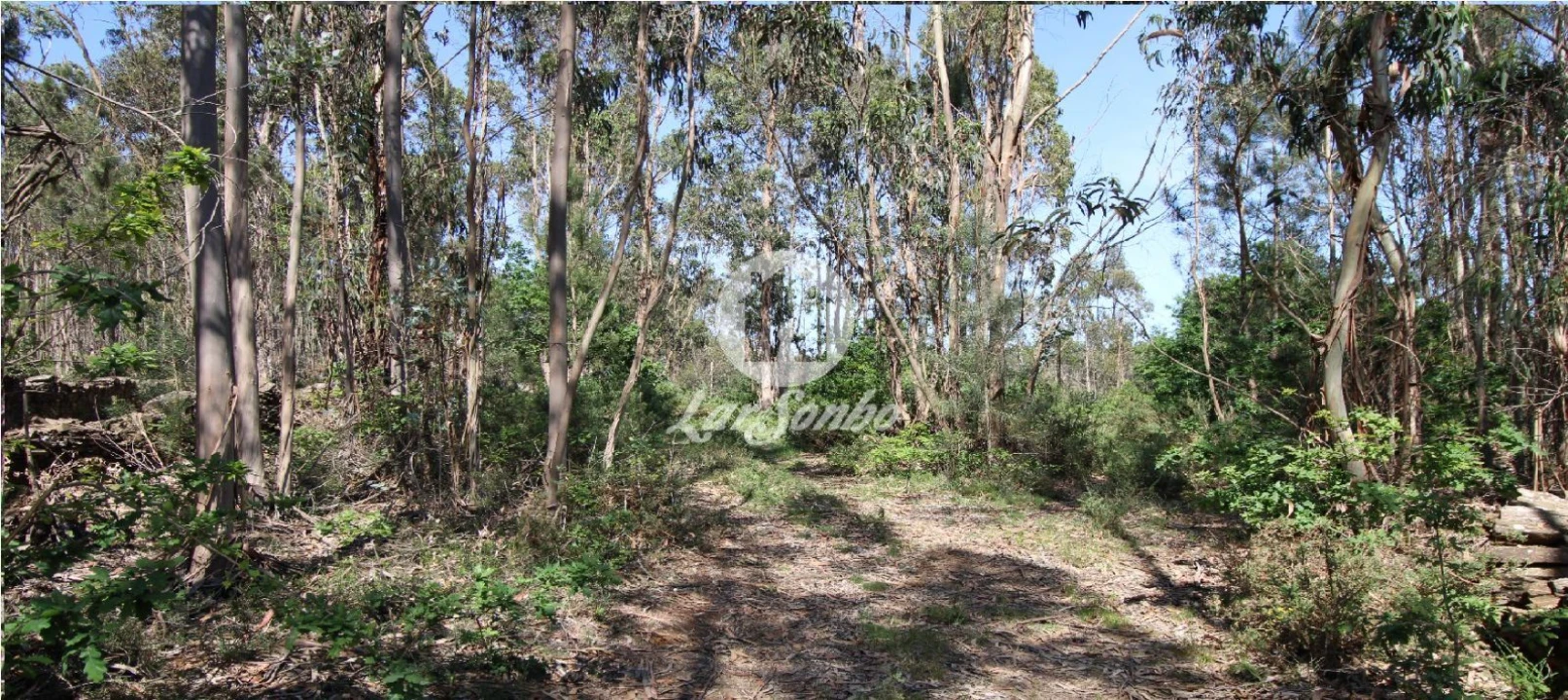 Terreno Agricola ou Rústico para Venda em Fradelos Foto 2