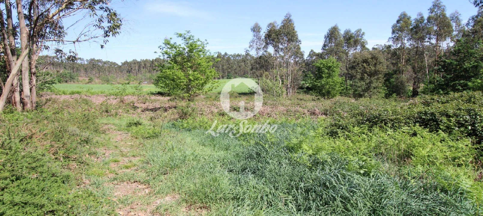 Terreno Agricola ou Rústico para Venda em Fradelos Foto 4