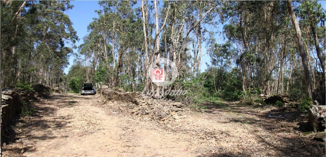Terreno Agricola ou Rústico para Venda em Fradelos Foto 1
