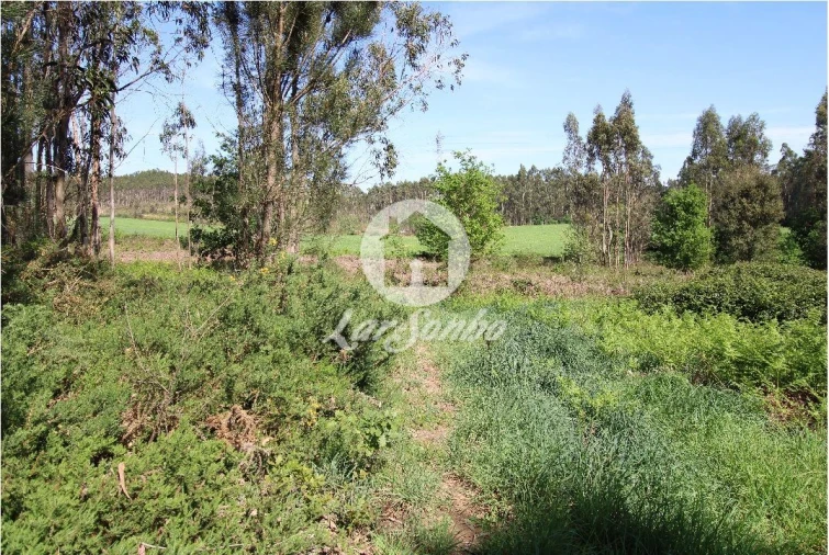 Terreno Agricola ou Rústico para Venda em Fradelos Foto 3