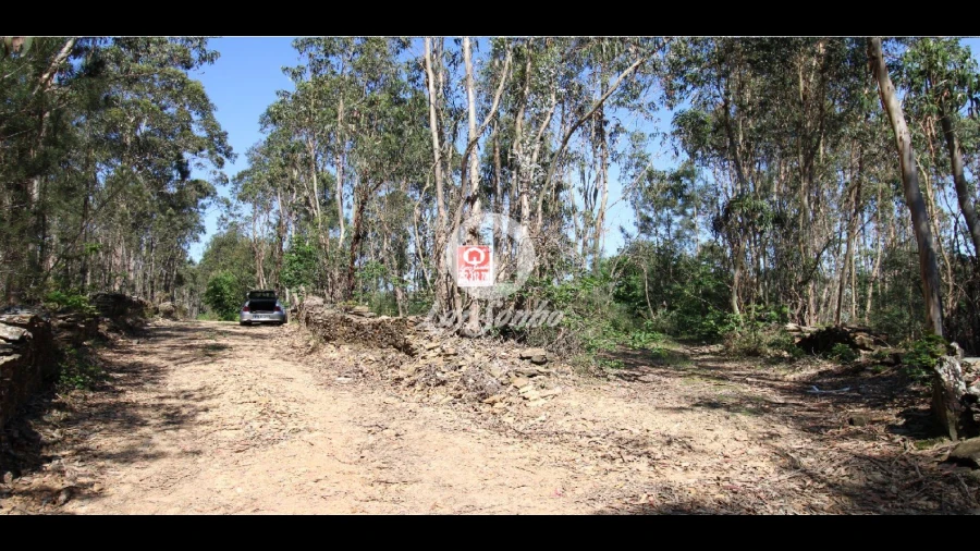 Terreno Agricola ou Rústico para Venda em Fradelos