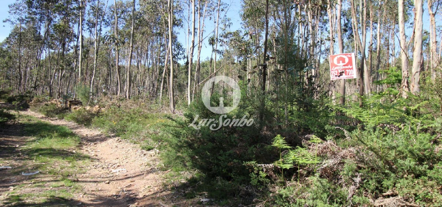 Terreno Agricola ou Rústico para Venda em Fradelos Foto 1